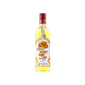 LIQ. GABRIEL BOUDIER APRICOT BRANDY (24%) 500ml