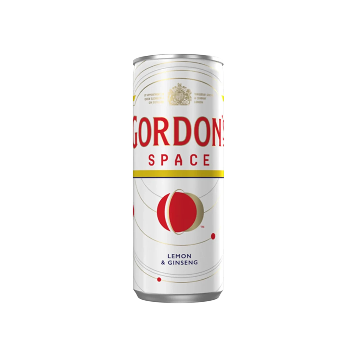 GORDONS SPACE CAN 250ml